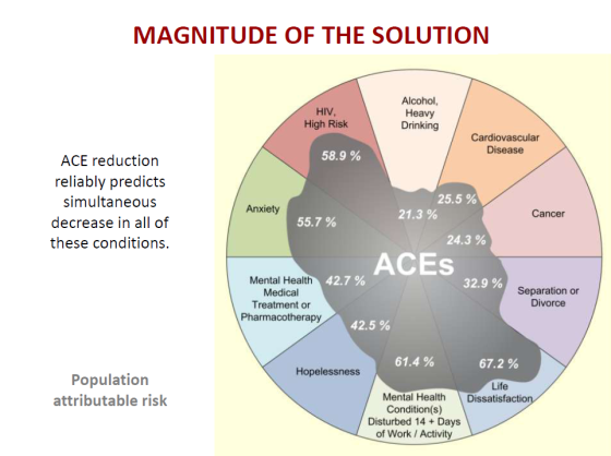acemagnituteofsolution