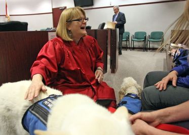 Judge Lynn Tepper allows therapy dogs in the courtroom. [Photo: Brendan Fitterer, Tampa Bay Times]